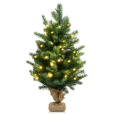 24 英寸桌面杉木人造圣诞树带 LED 灯 24 Inch Tabletop Fir Artificial Christmas Tree with LED Lights