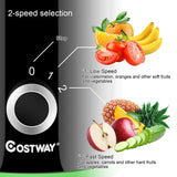 2速广口果蔬离心电动榨汁机 2 Speed Wide Mouth Fruit and Vegetable Centrifugal Electric Juicer