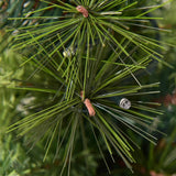 3'/4'/5' LED 圣诞入口树带红色浆果松果 - 4' 3'/4'/5' LED Christmas Entrance Tree w/ Red Berries Pine Cones-4'