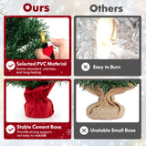 24 英寸迷你预亮圣诞树小桌面杉木圣诞树 24 Inch Mini Pre-Lit Christmas Tree Small Tabletop Fir Xmas Tree