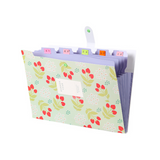 碎花森系6格A4风琴包【四色混发】