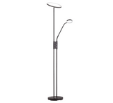 Weiters 双头LED落地灯 Torchiere Floor Lamp