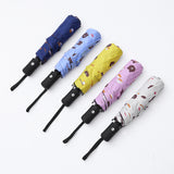 8骨自动布朗熊防晒雨伞 55cm 蓝色/黄色【2色混發】Printed Fold-up Umbrella