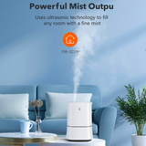 TaoTronics 上加水式超声波冷雾加湿器 Ultrasonic Cool Mist Humidifier 4L