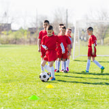 8 x 6 英尺足球门，带地桩和足球锥体 8 x 6 Ft Soccer Goal with Ground Stakes and Soccer Cones