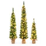 3 件套预亮人造圣诞树，带 415 个绿色树枝尖 Set of 3 Pre-Lit Artificial Christmas Trees with 415 Green Branch Tips