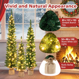 3 件套预亮人造圣诞树，带 415 个绿色树枝尖 Set of 3 Pre-Lit Artificial Christmas Trees with 415 Green Branch Tips