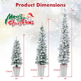 3 件套盆栽雪花人造圣诞树 Set of 3 Potted Artificial Christmas Tree Snow-Flocked