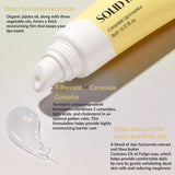 Torriden Solid-In Lip Essence 11ml