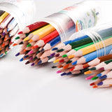 小树苗 12色彩色铅笔 带卷笔刀