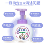 【清洁必备】狮王LION 植物配方温和除菌泡沫洗手液 3款选 250ml