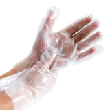 一次性透明塑胶手套 便携式 100个/袋